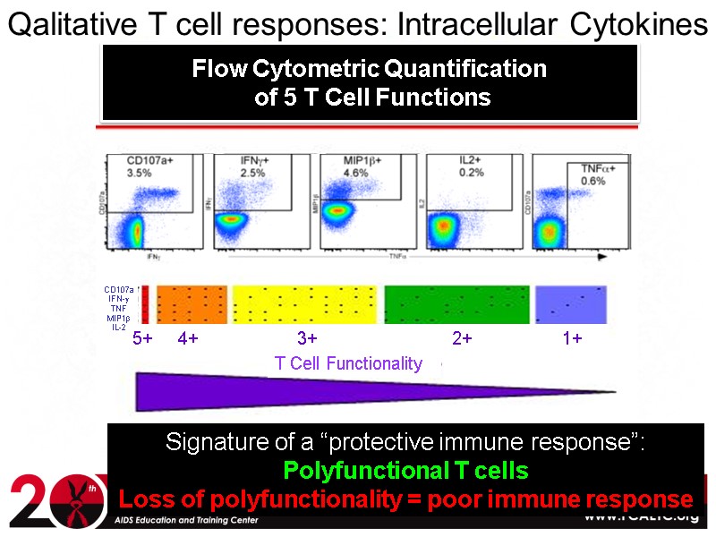 Qalitative T cell responses: Intracellular Cytokines  Signature of a “protective immune response”: Polyfunctional